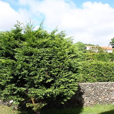 Apartamento Mar E Serra Ponta Delgada  Bagian luar foto