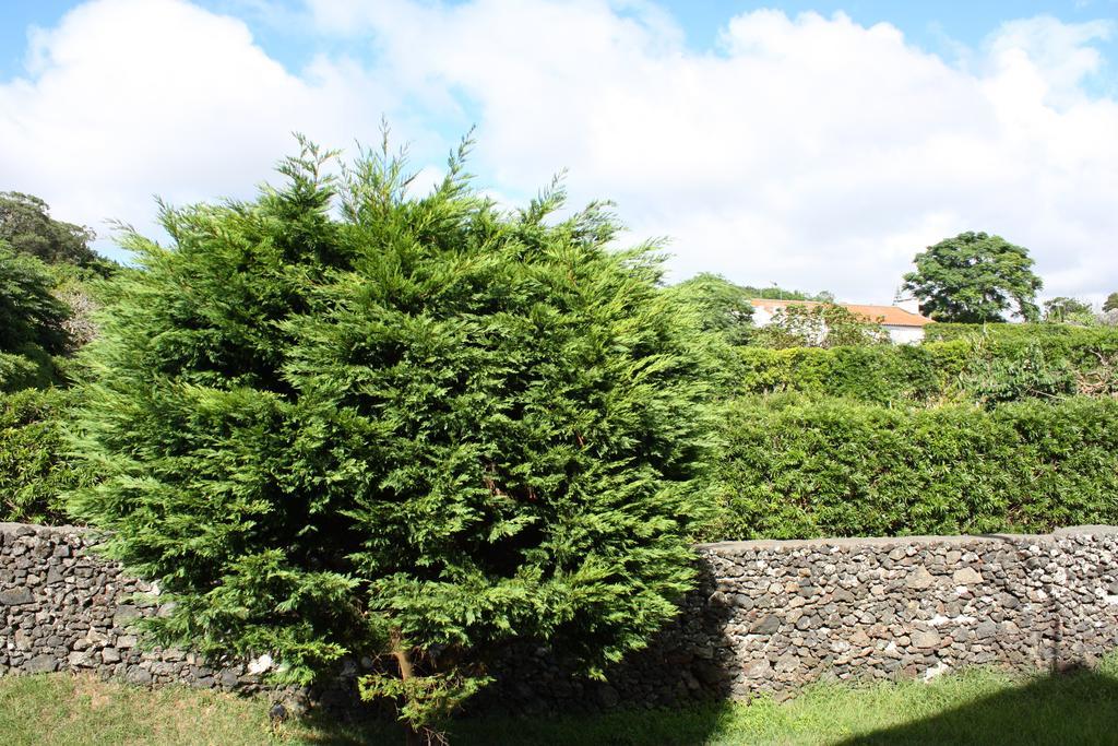 Apartamento Mar E Serra Ponta Delgada  Bagian luar foto